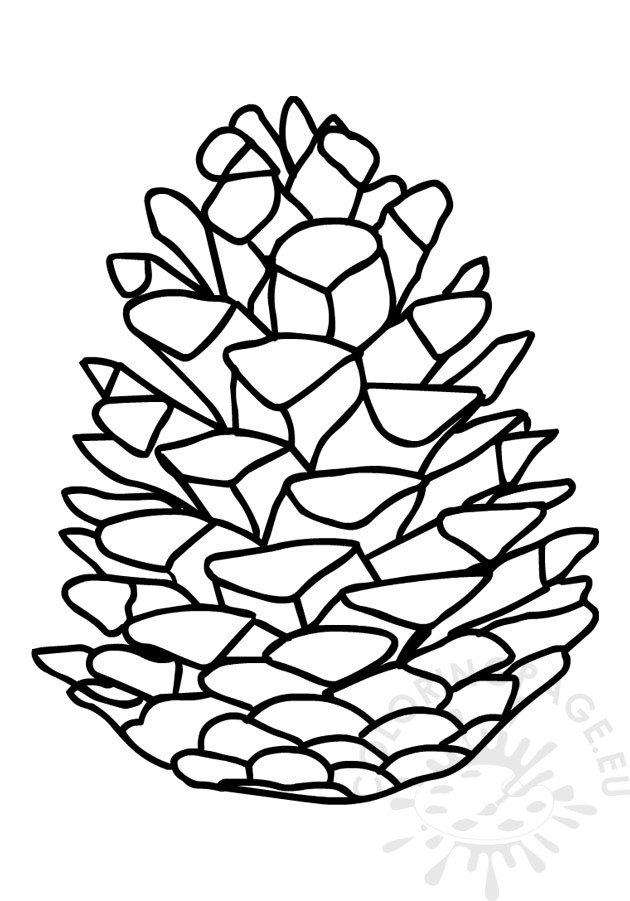 Pine cone drawing coloring page