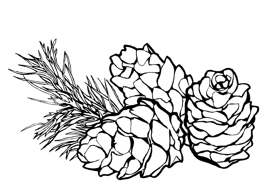 Coloring page