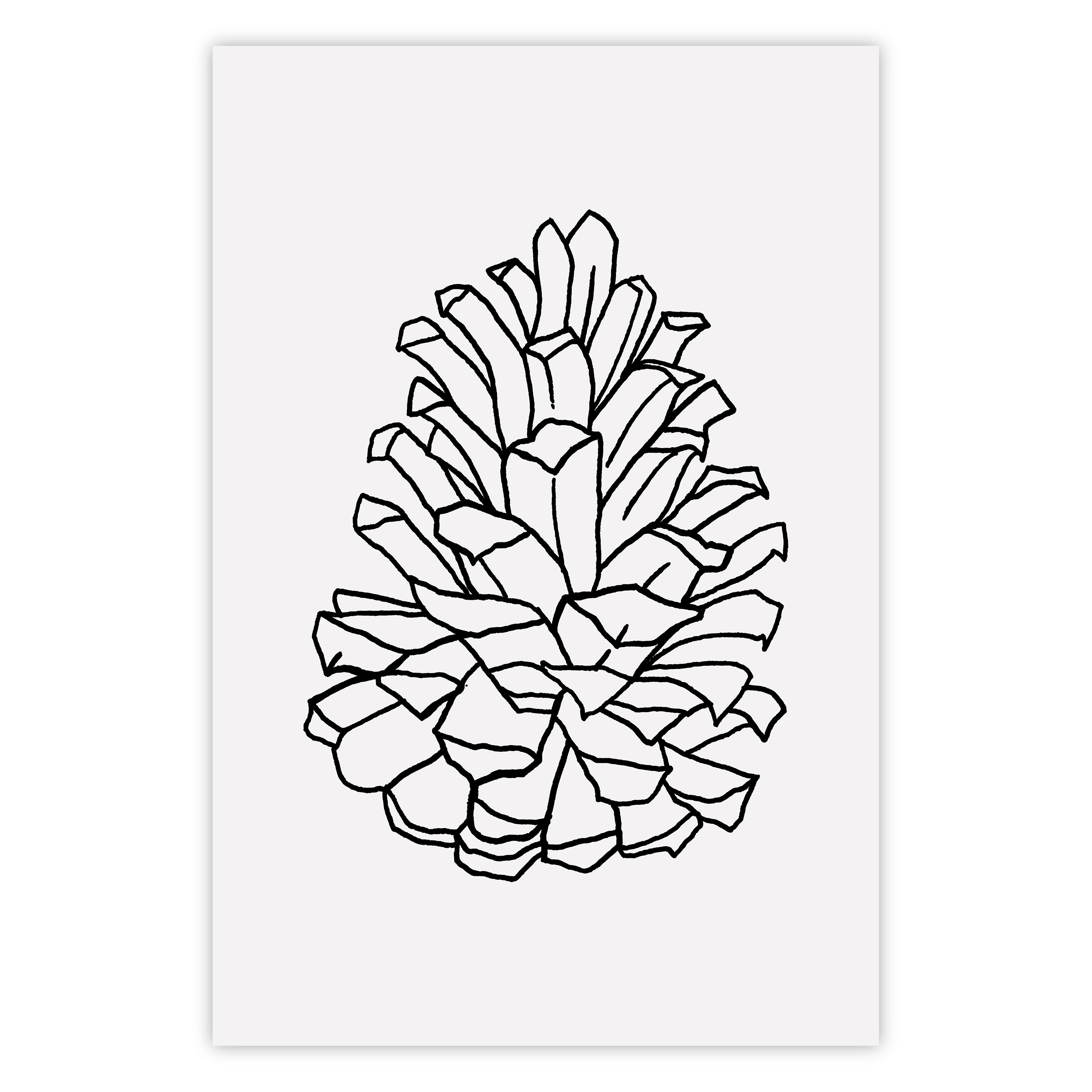 Open pine cone poster