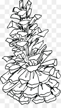 Pinecone png