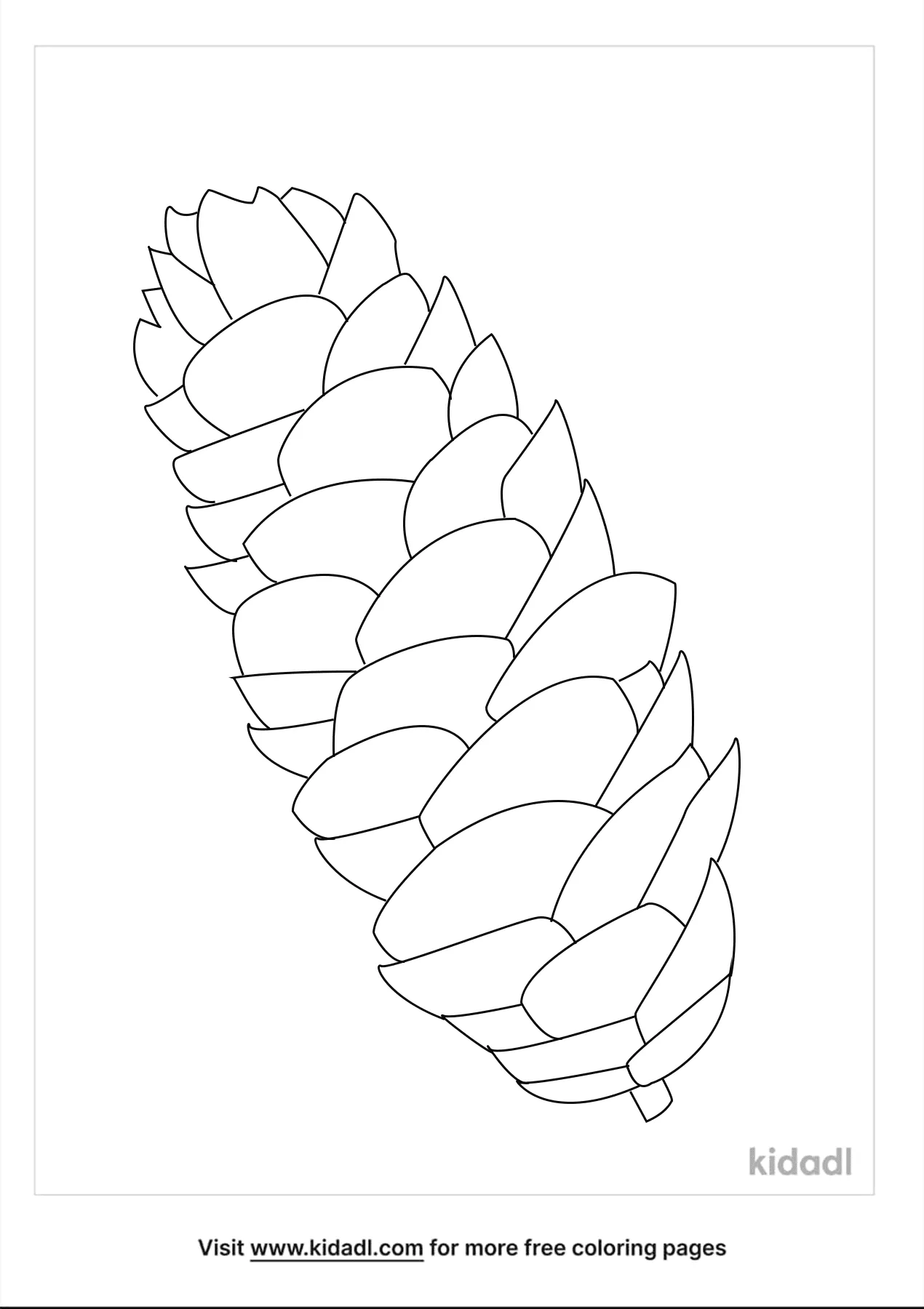 Free pine cone coloring page coloring page printables