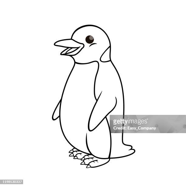 Vector illustration of penguin isolated on white background for kids loring book high