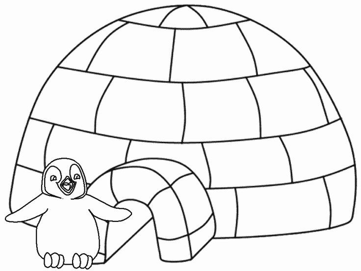 Free pingu coloring pages download free pingu coloring pages png images free cliparts on clipart library