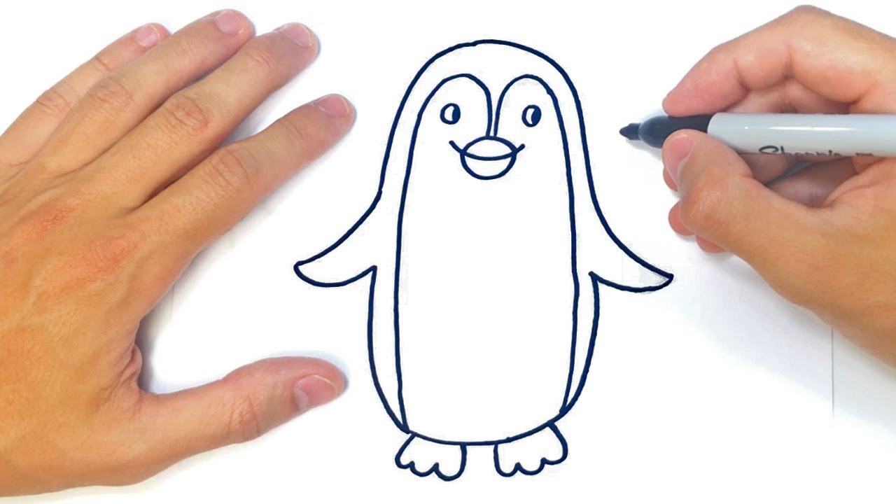 Cão dibujar un pinguino paso a paso dibujo de pinguino