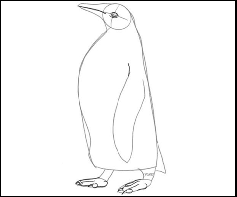 Pinguino dibujo facil