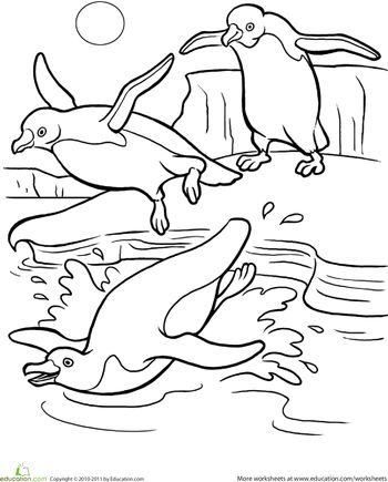 Penguin worksheet education penguin coloring pages penguin coloring coloring pages