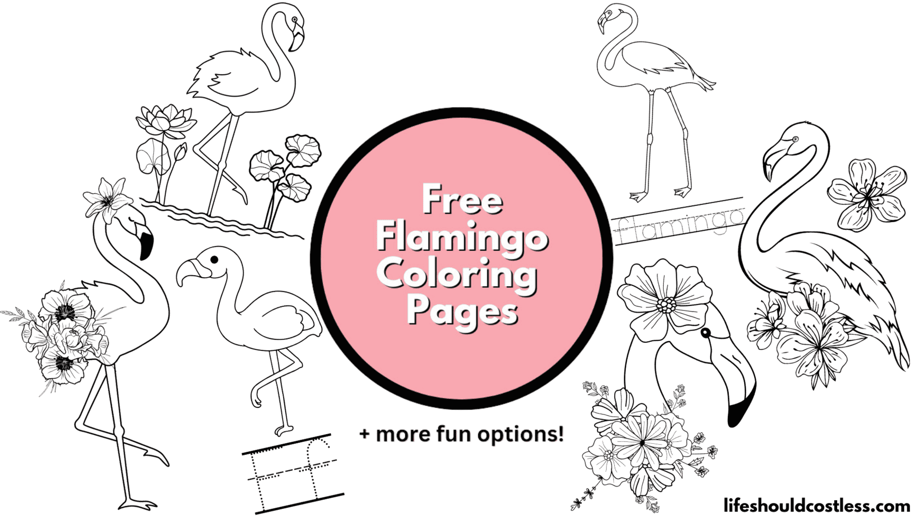 Flamingo coloring pages free printable pdf templates