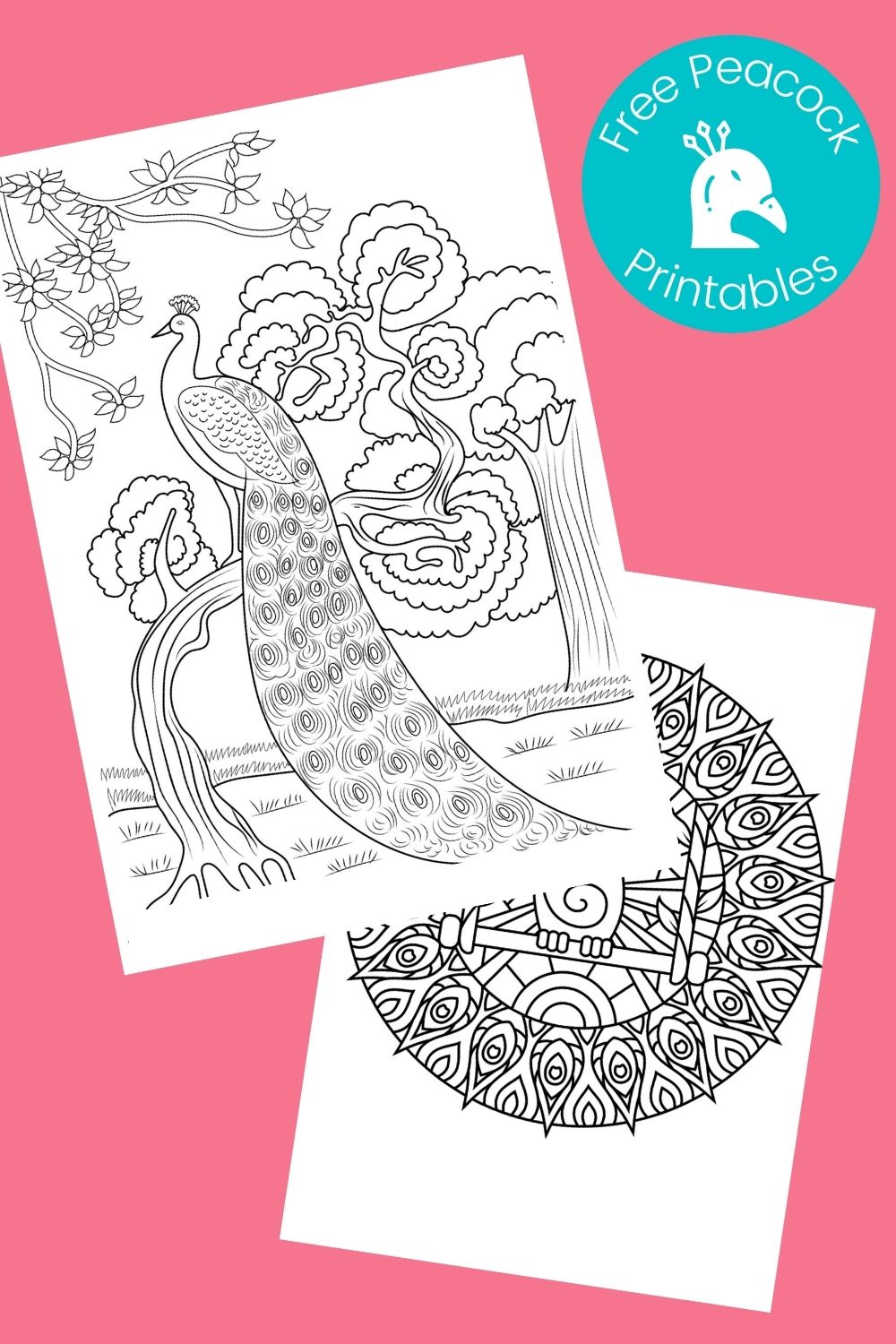 Free printable peacock coloring pages