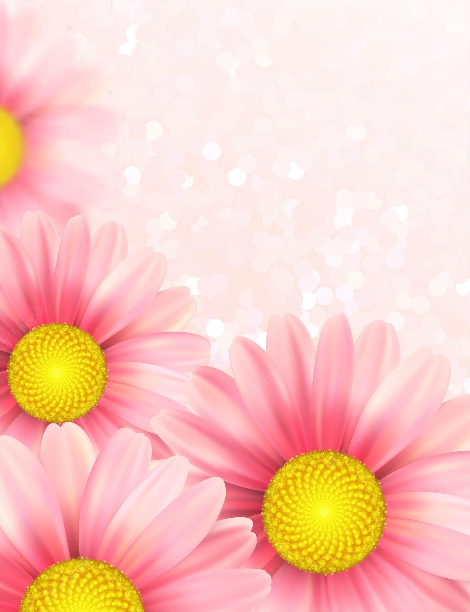 Download Free 100 + pink daisy wallpaper