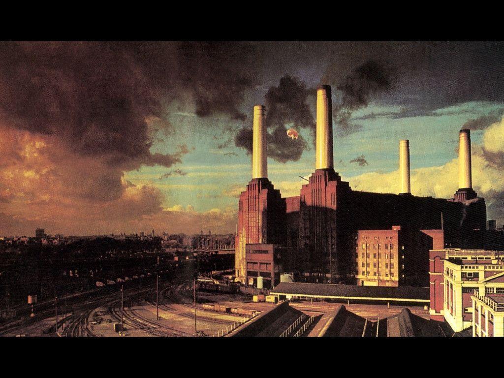 Pink floyd animals wallpapers