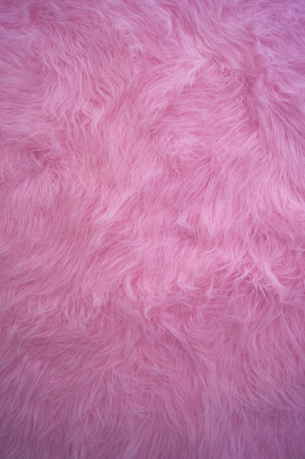 Pink Luxury Wool Natural Fluffy Fur Wool Skin Texture Close-up Use For  Background And Wallpaper Stock Photo, Picture and Royalty Free Image. Image  146665170.