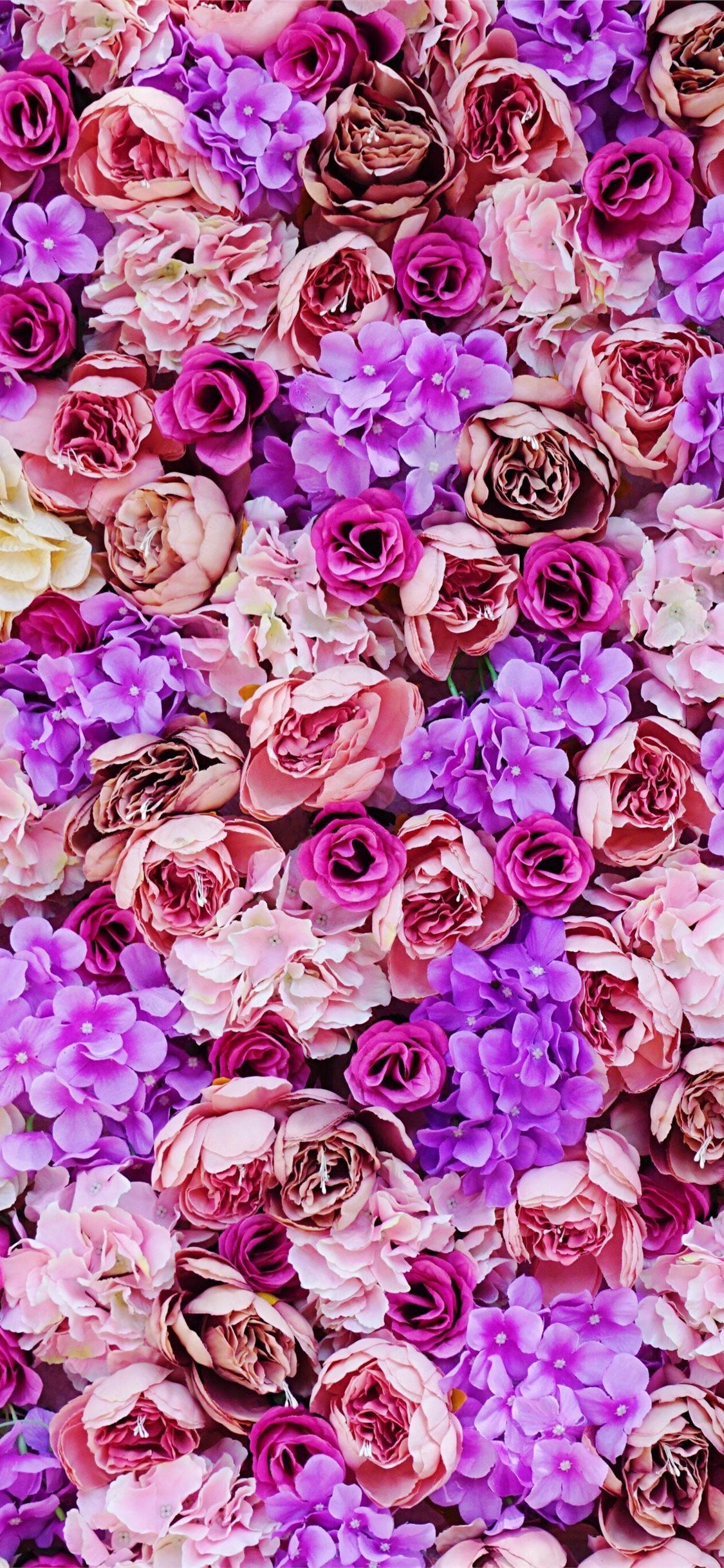 Download Free 100 + pink purple Wallpapers