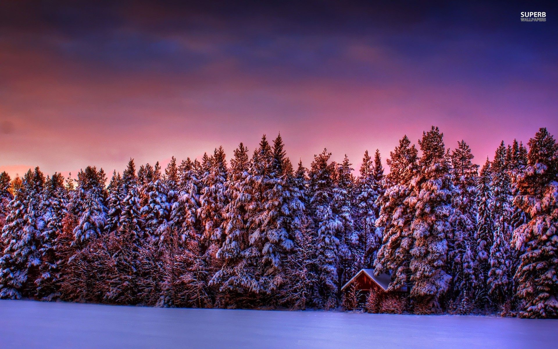 Download Free 100 + pink winter sky Wallpapers