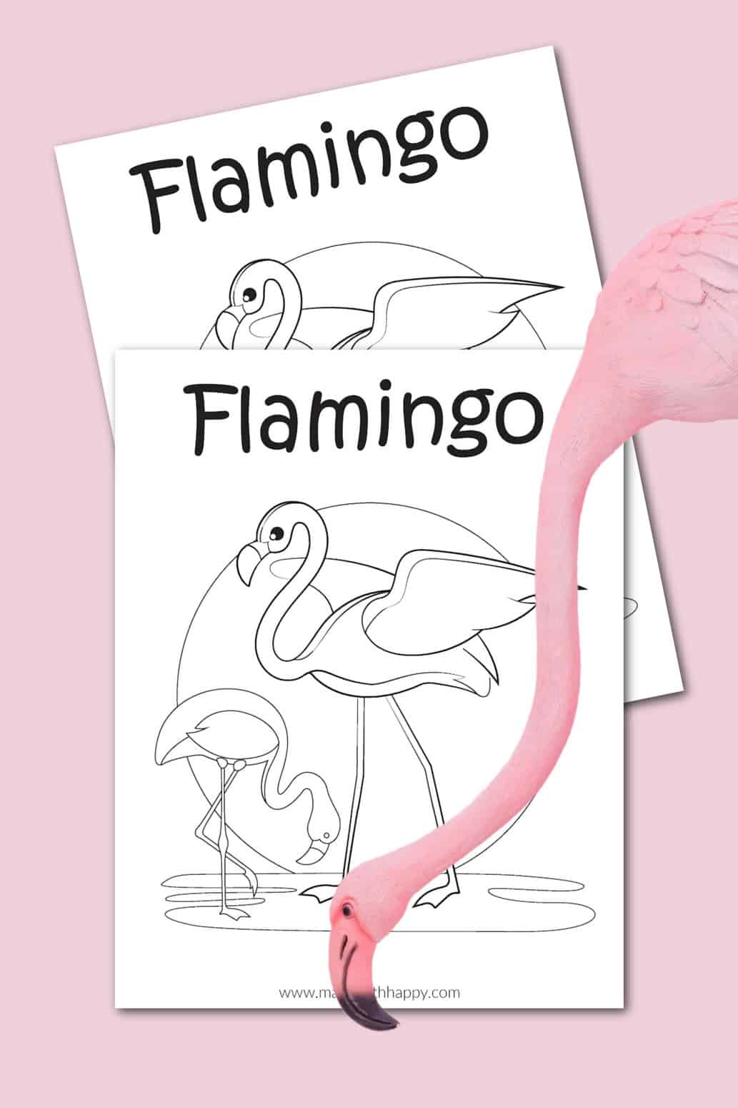 Flamingo coloring pages