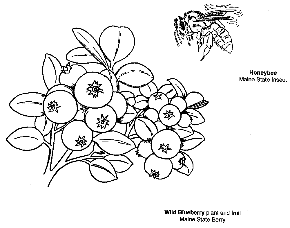 Symbols coloring book secretary of state kids page