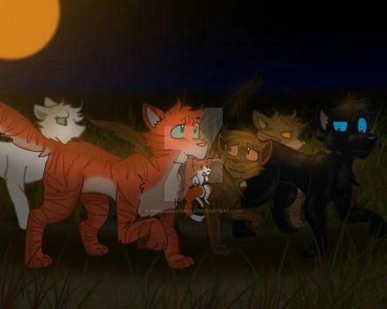 Pin by moon on pinkbunnygirl artwork warrior cats warrior pets cats