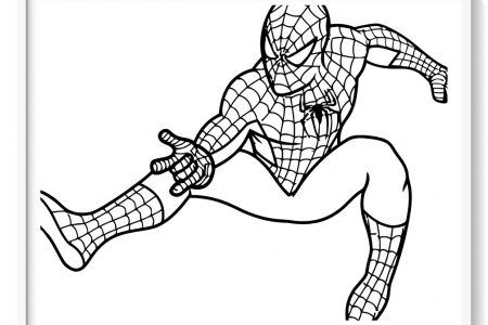 Spiderman para colorear imãgen del hombre araãa para pintar ððµðð ñðñðºñðñðºð ð ðñðºñðñðºð ð ðñðºñðñðºð ððñ ðð