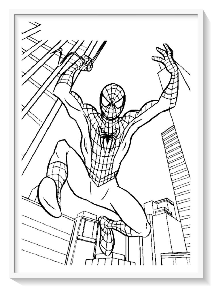 Los mãs lindos dibujos de spiderman hombre araãa para colorear y pintar a todo color imãgenes â avengers coloring pages superhero coloring spiderman coloring