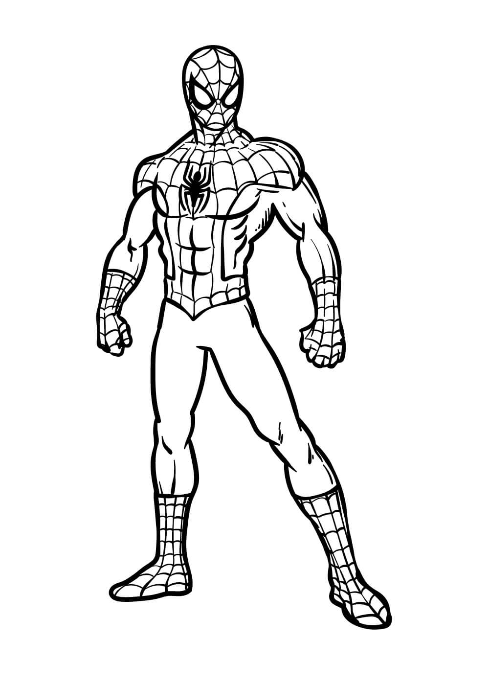 Basic spiderman coloring page