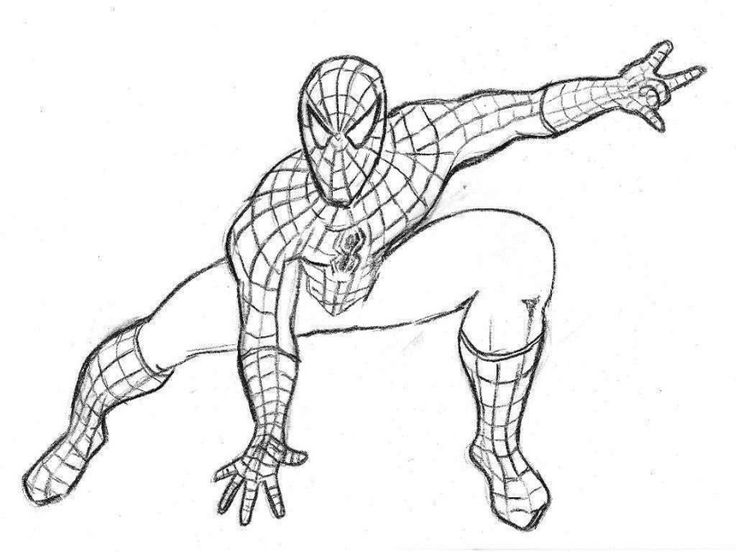 The special free spiderman coloring book spiderman pictures colorsfree spiderâ spiderman dibujo para colorear hombre araãa para pintar dibujo del hombre araãa