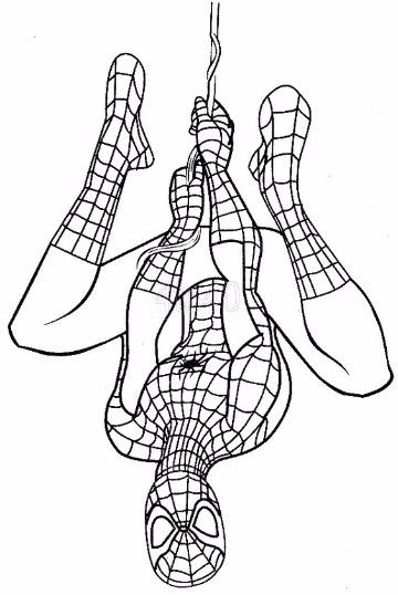 Dibujos para colorear del hombre araãa gratis avengers coloring pages spiderman coloring avengers coloring