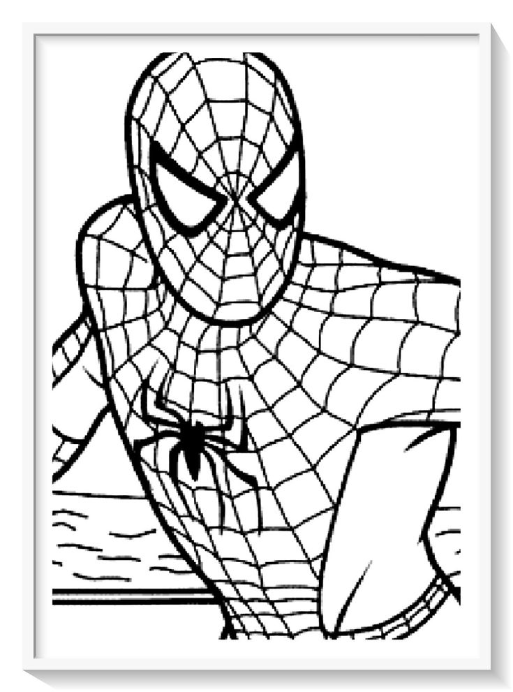Los mãs lindos dibujos de spiderman hombre araãa para colorear y pintar a todo color imãgen prontas paâ hombre araãa para pintar spiderman spiderman dibujo