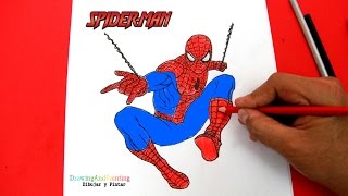How to draw spideran step by step cão dibujar y pintar al increãble hobre araãa