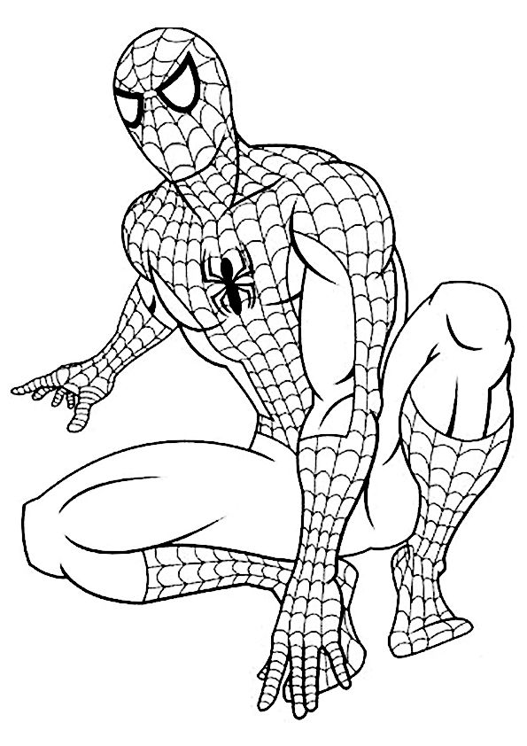 Dibujo para imprimir de spiderman en alerta para luchar contra los malos spiderman dibujo para colorear spiderman para pintar hombre araãa para pintar