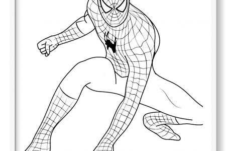 Spiderman para colorear imãgen del hombre araãa para pintar hombre araãa para pintar spiderman dibujos