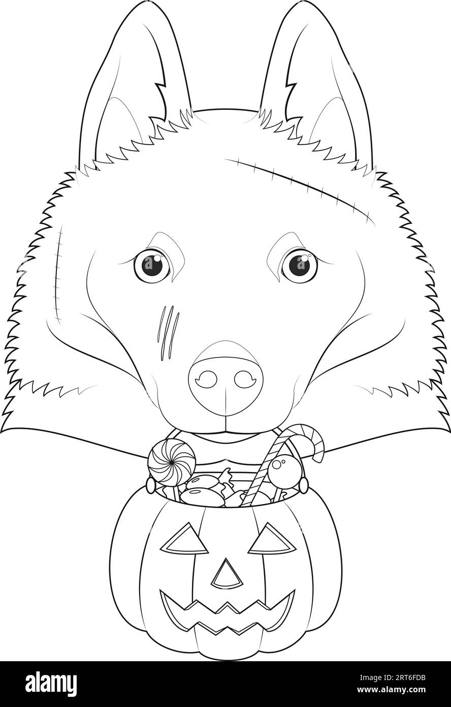 Tarjeta de felicitaciãn de halloween para colorear perro schipperke con varias cicatric en la cara y una calabaza con caramelos en la boca imagen vector de stock