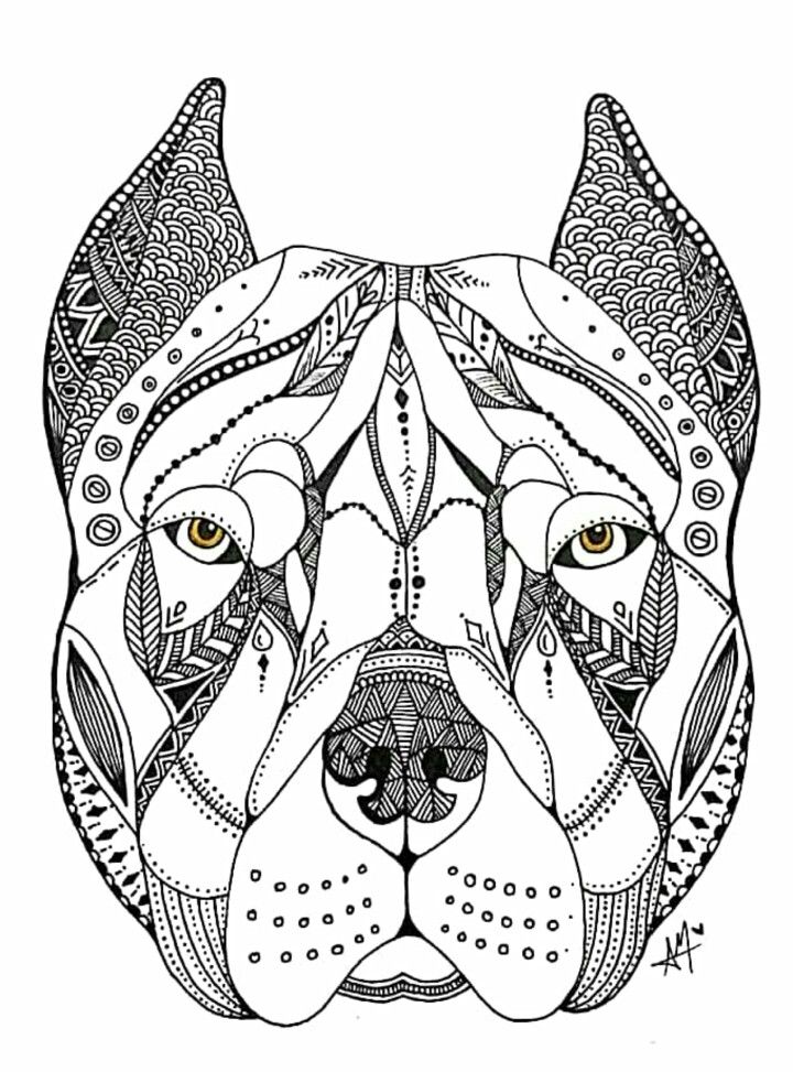 Pitbullð adult coloring animals dog coloring book coloring pictur of animals