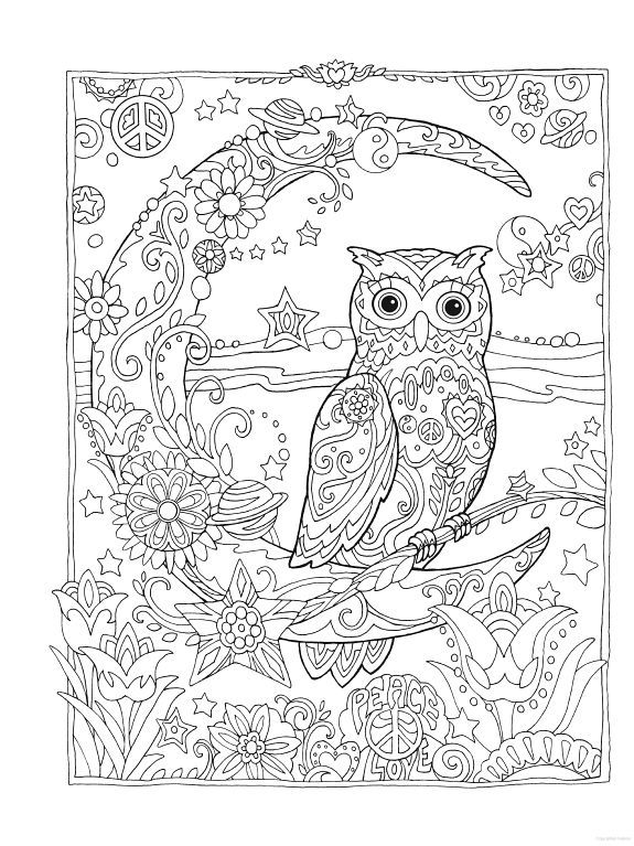 Free for adults animal coloring pages owls owl coloring pages coloring books adult coloring pages