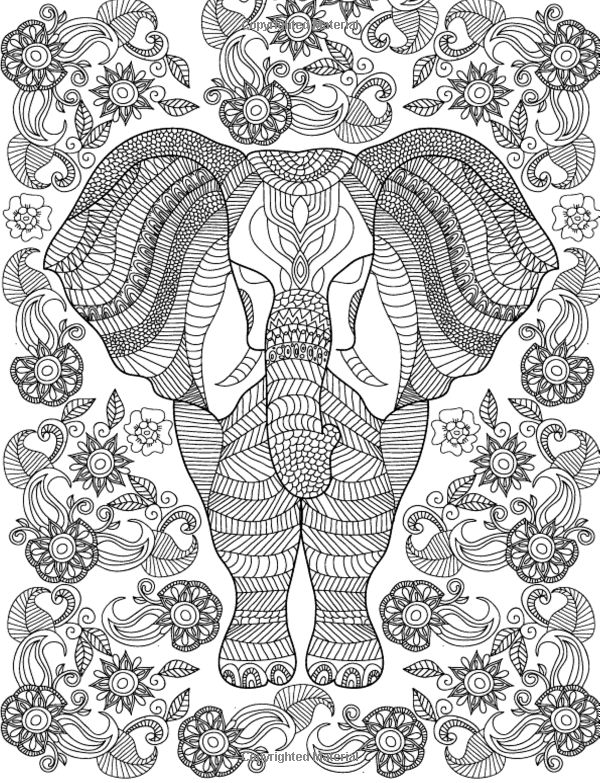 Pin on â zentangles adult colouring coloring pages