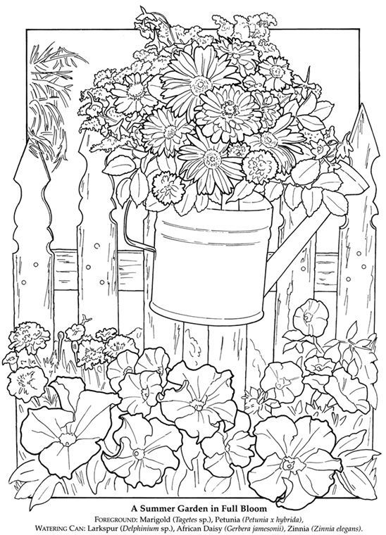 Found on bing from www summer coloring pages flower coloring pages coloring pages