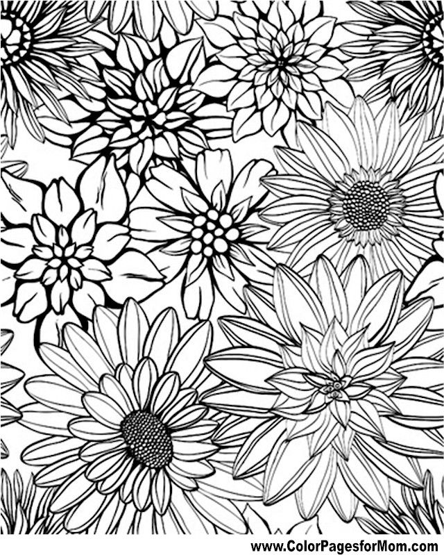 Advanced coloring pages