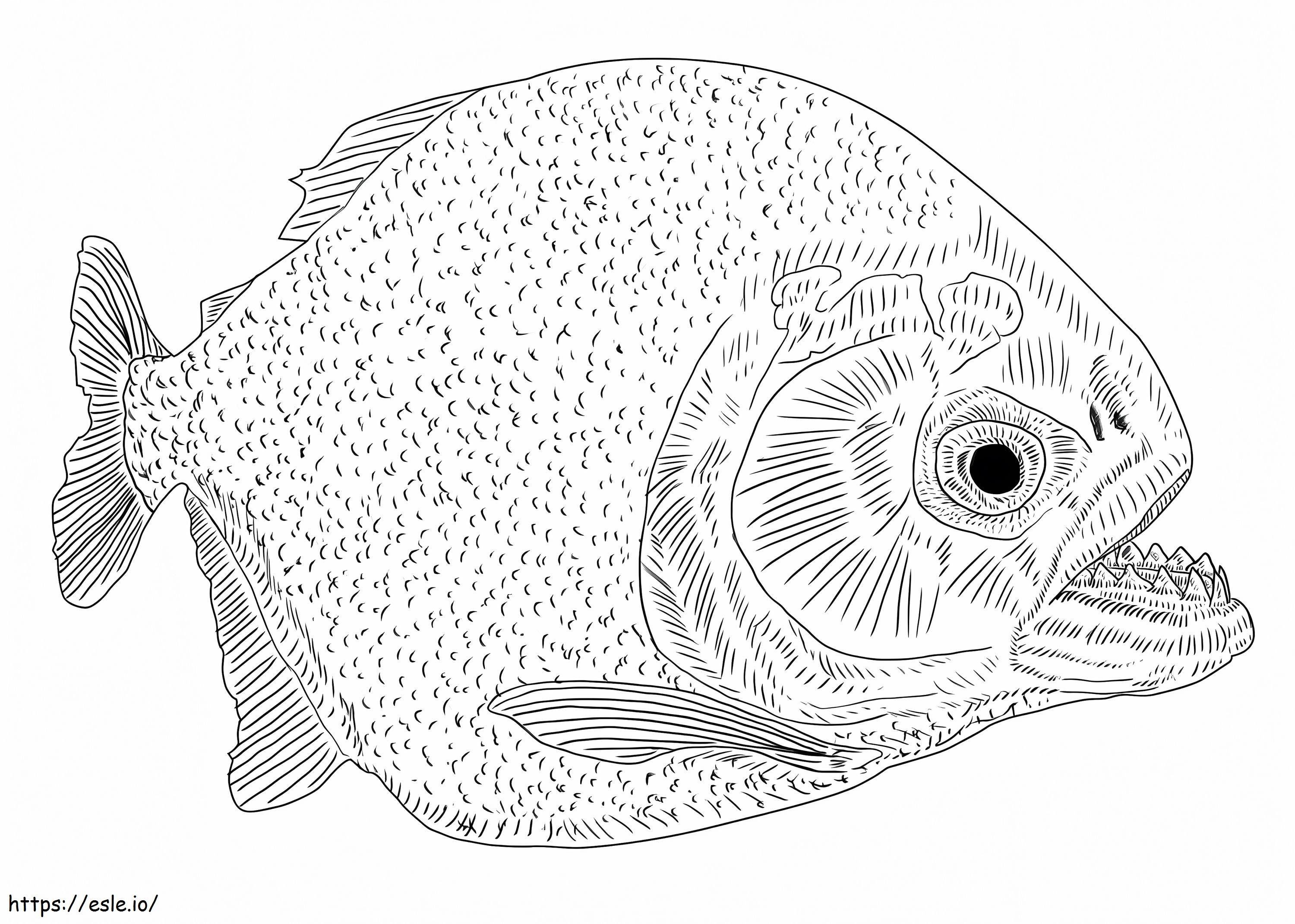 Piranha fish coloring page