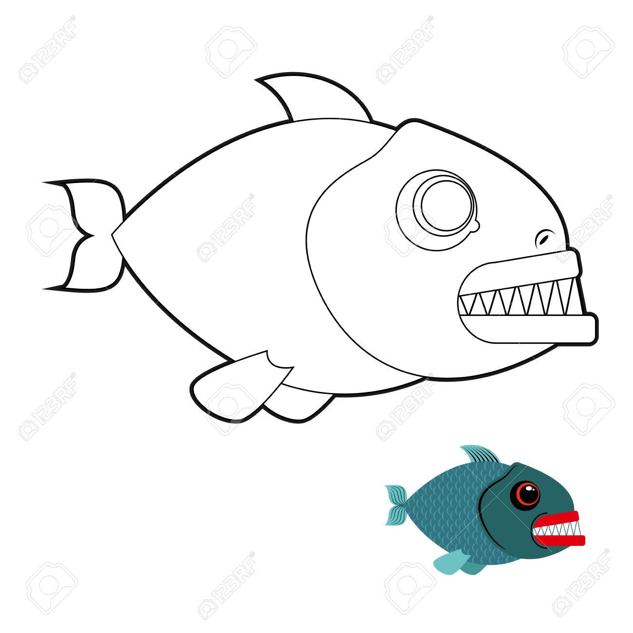 Piranha coloring book terrible sea fish with large teeth angry sea creature marine predator on white background royalty free svg cliparts vectors and stock illustration image