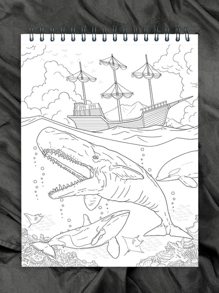 Pirates coloring book for adults