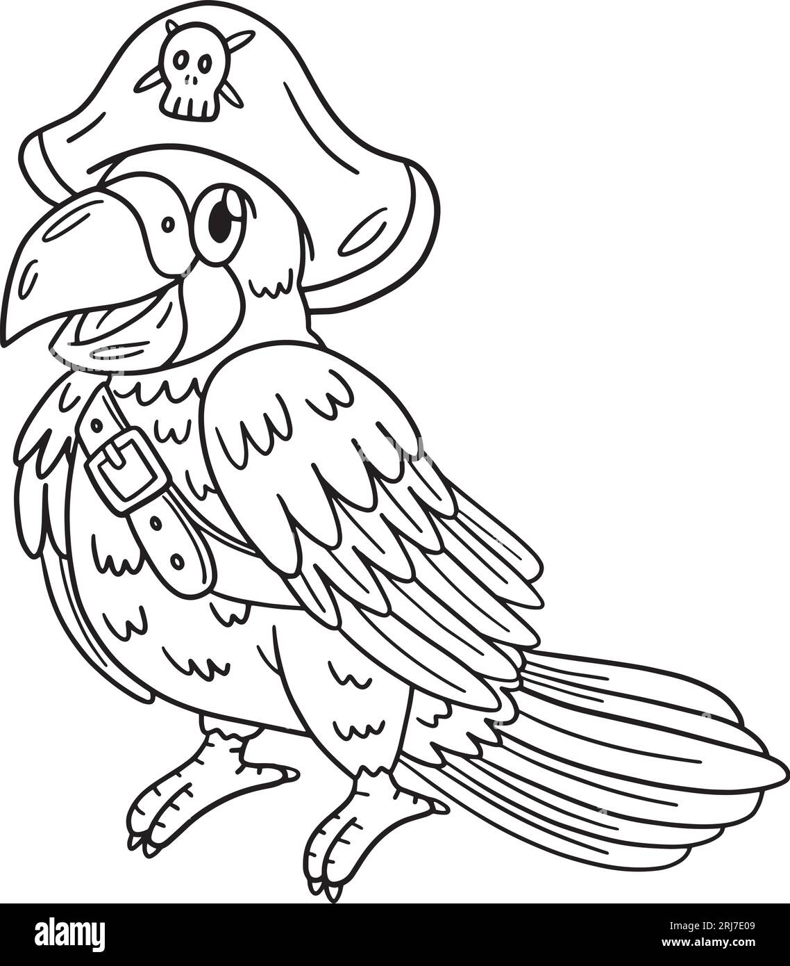 Pirate parrot isolated coloring page for kids stock vector image art