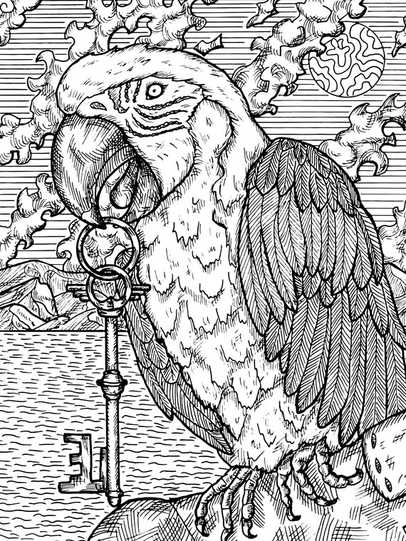 Parrot pirate coloring book page pirate coloring page adult stress relief coloring page