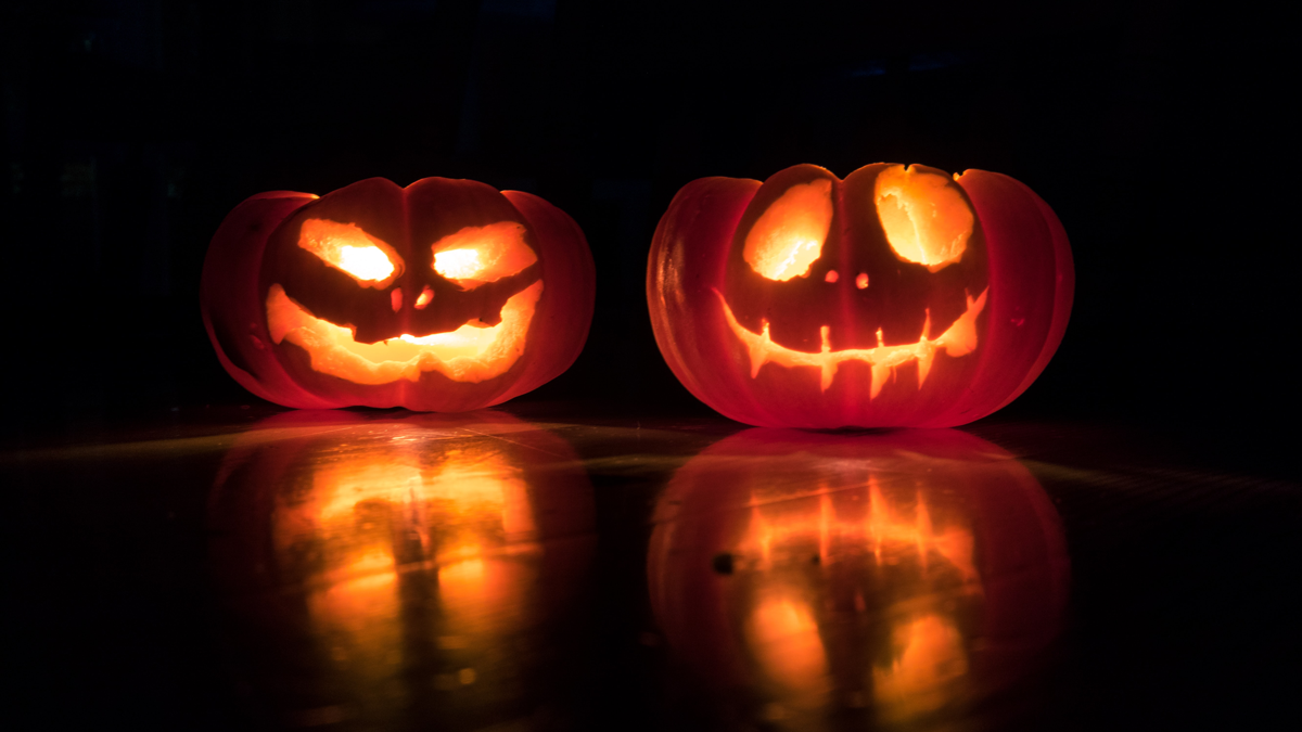 Pumpkin carving templates thatll wow neighbors