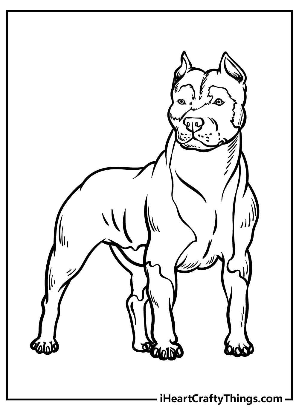 Pitbull coloring pages free printables