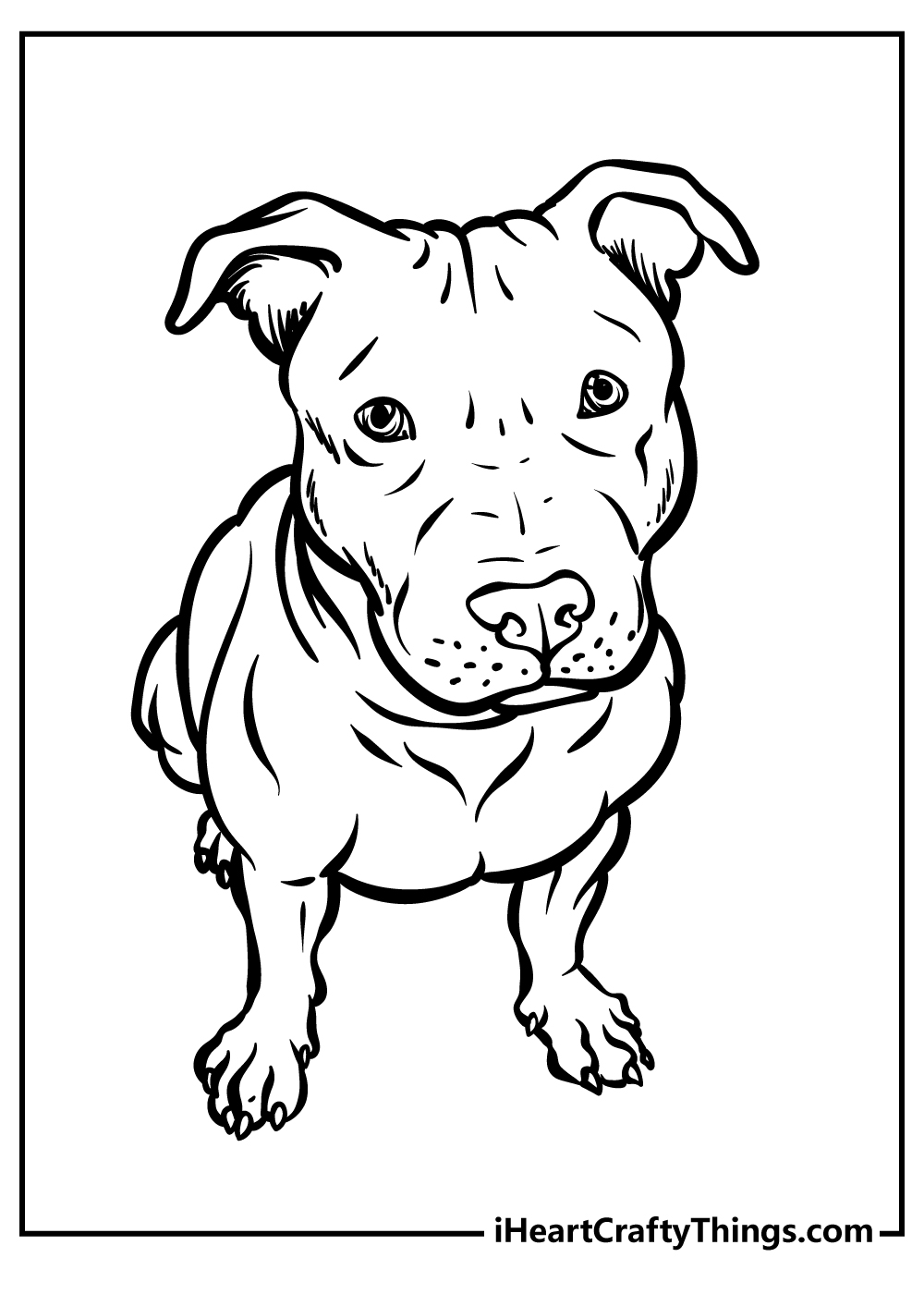 Pitbull coloring pages free printables