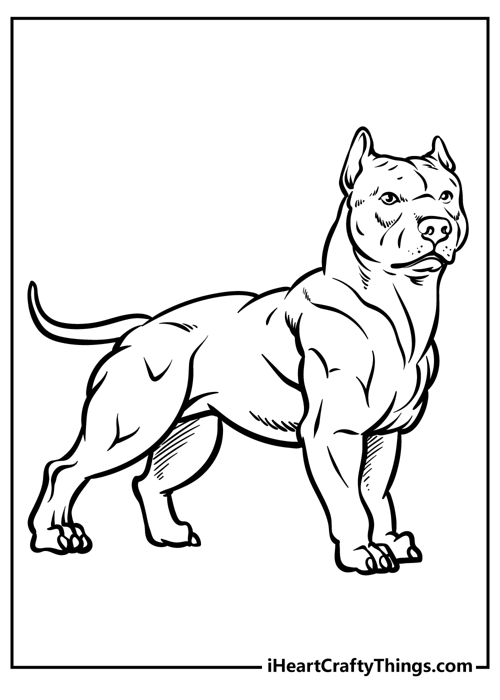 Pitbull coloring pages free printables