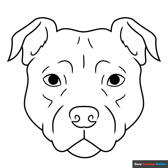 Pitbull face coloring page easy drawing guides