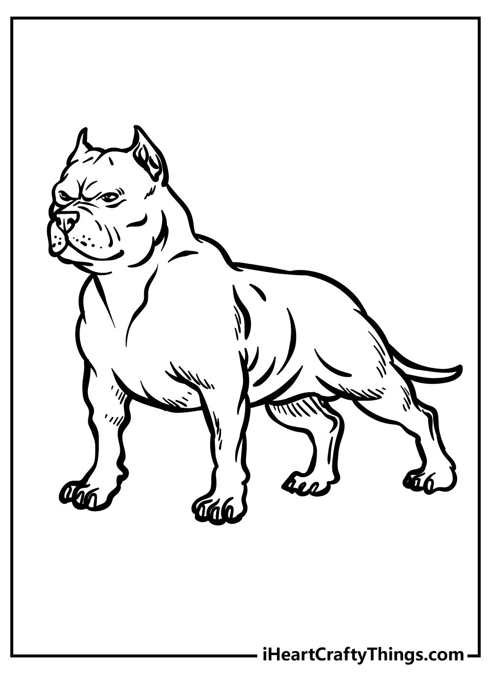 Pitbull coloring pages free printables