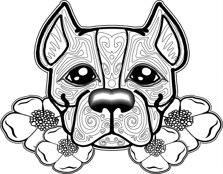 Pitbull coloring pages printable for free download