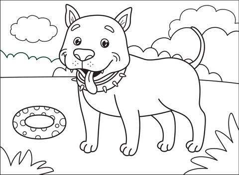 Pitbull coloring page free printable coloring pages