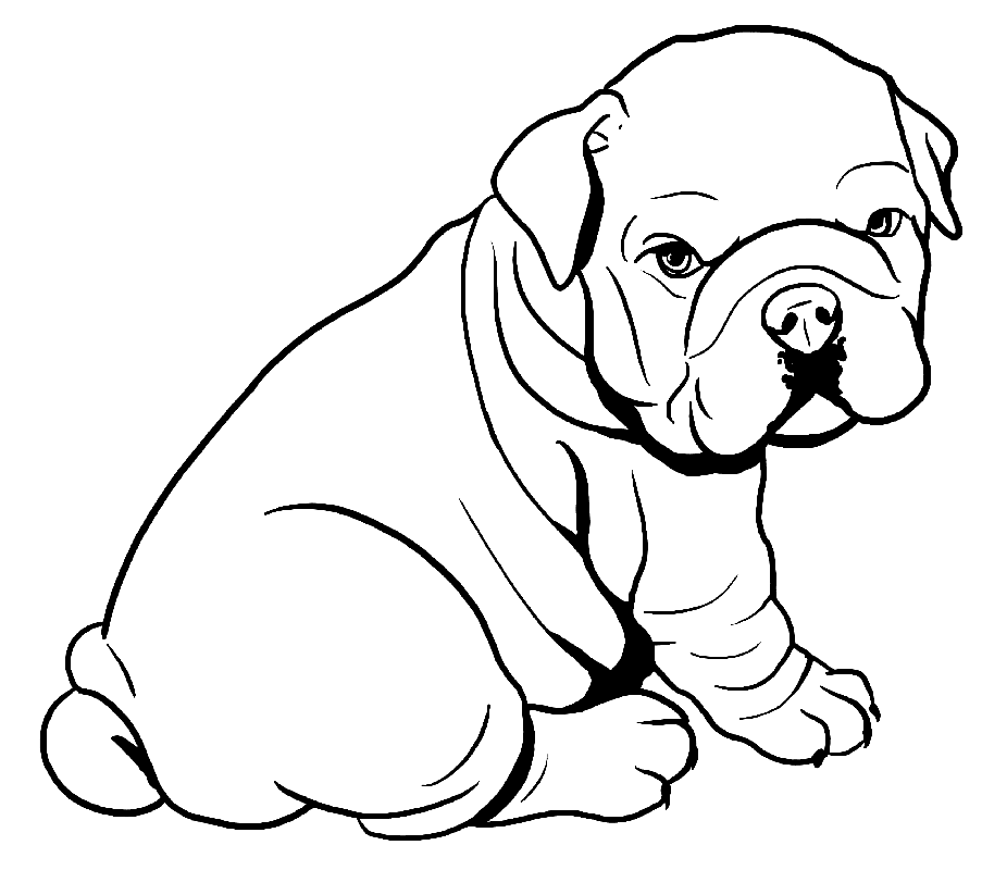 Pitbull coloring pages printable for free download