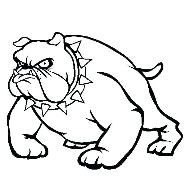 Pitbull coloring pages